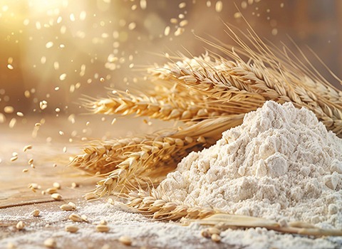 تصویر 1 از قیمت سویق گندم اصل با کیفیت عالی + خرید عمده